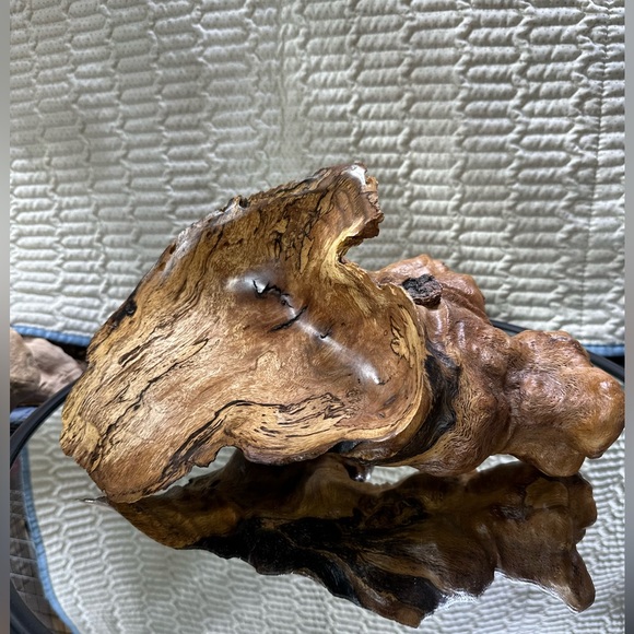 Burled Red Oak “Grow-Over” with Fungal Spalting Wood Sculpture One of a Kind - Picture 4 of 5